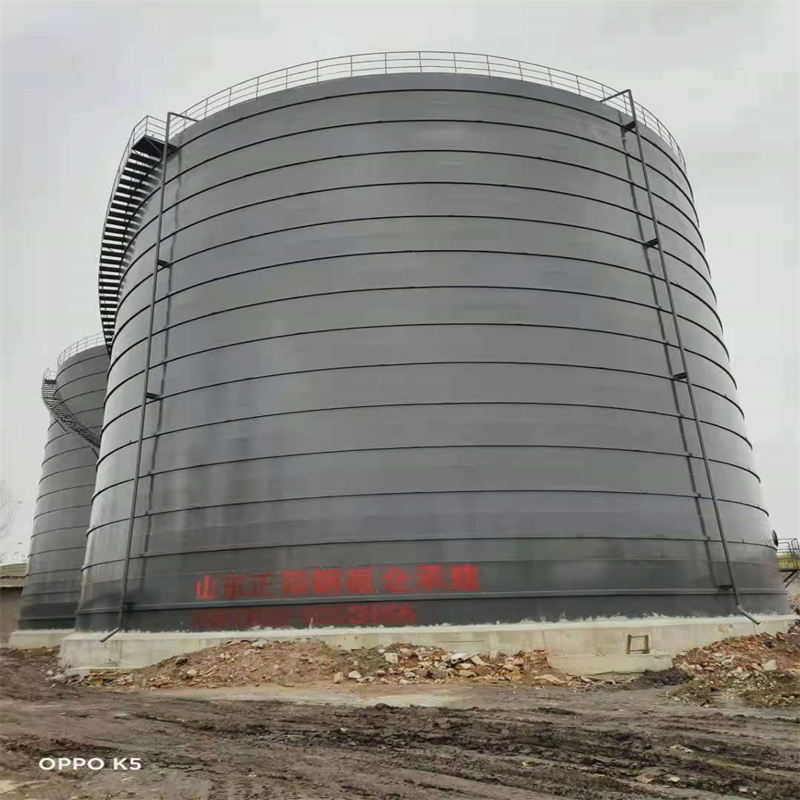 兴业3万吨大型钢板库